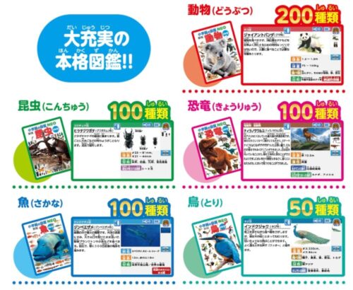 「アニアとあそぼう！小学館の図鑑NEOPad」レビュー